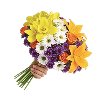 Orchid Bloom Cascade