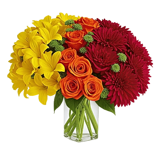 Crimson Blossom Harmony