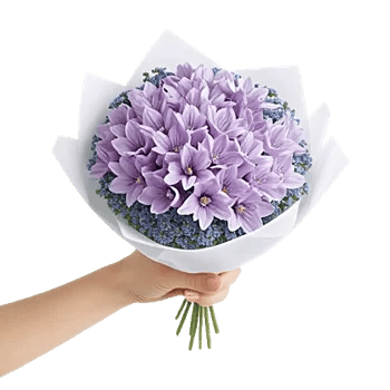 Serene Petal Harmony
