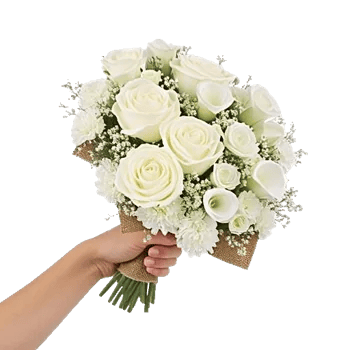 Ivory Garden Grace