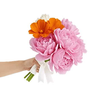 Peony Petal Harmony
