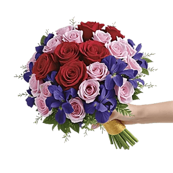 Crimson Rose Elegance