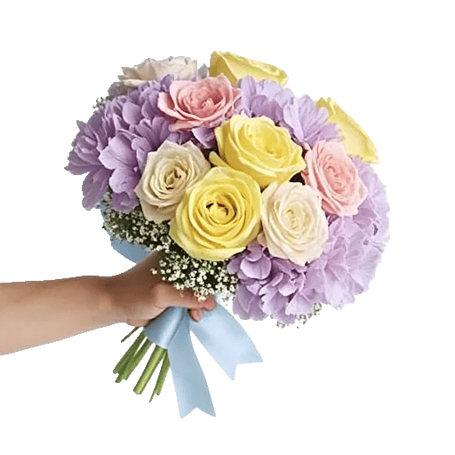 Serene Petal Harmony