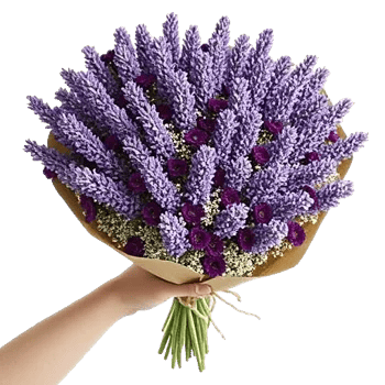 Lavender Dream Bouquet