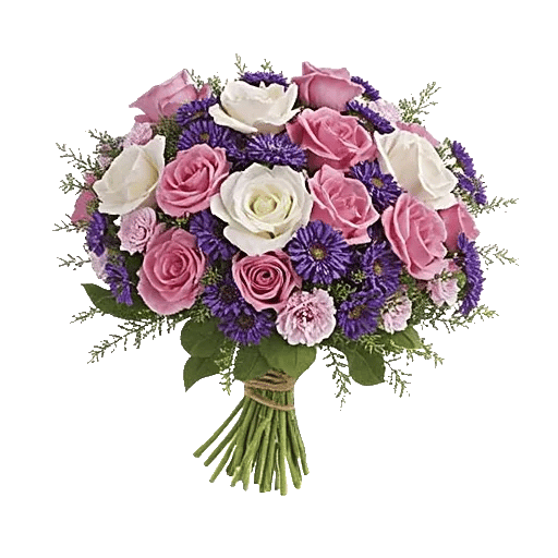 Pink Pastel Roses