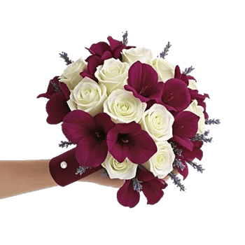 Blushing Rose Symphony