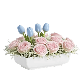 Blossom Petal Serenity