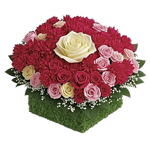 Delicate Petal Cascade