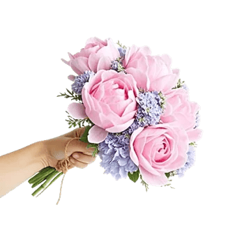 Peony Petal Harmony