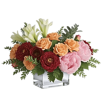 Graceful Lily Display