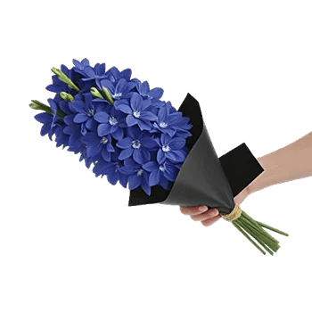 Serenity Blossom Grace