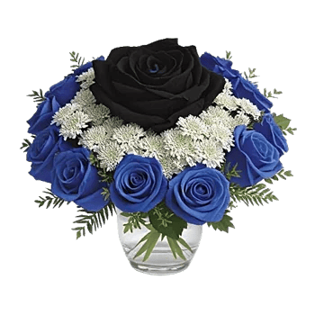 Elegant Blue Roses