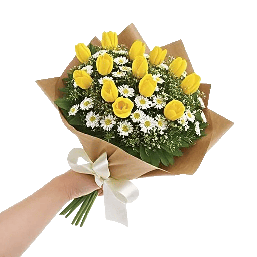 Blossom Harmony Display