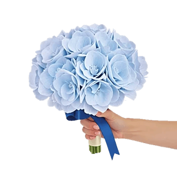 Serene Petal Harmony