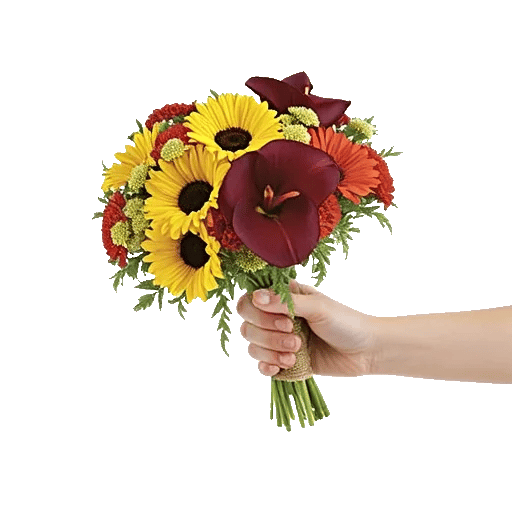 Elegant Calla Lilies