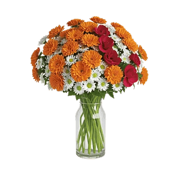 Vibrant Orange Delight