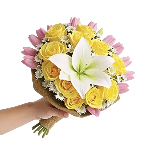 Blossom Harmony Display