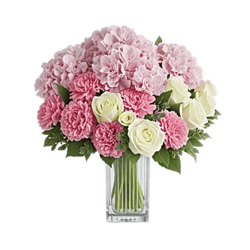 Ivory Blossom Radiance