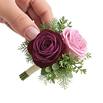 Plum Blossom Radiance