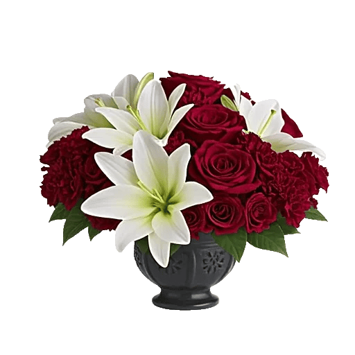Crimson Rose Elegance