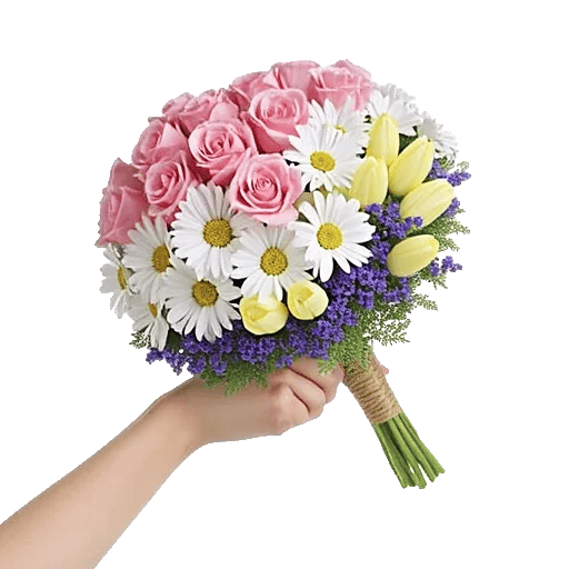 Blushing Rose Symphony