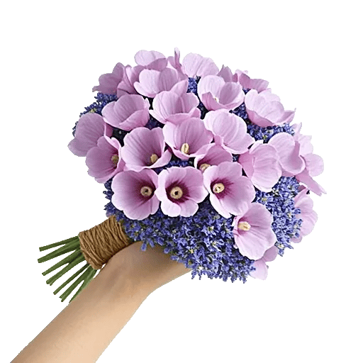 Blossom Petal Serenity