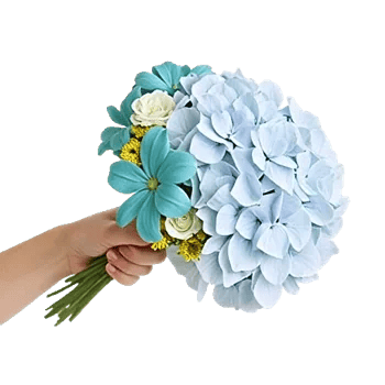 Sapphire Bloom Whisper