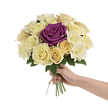 Blushing Rose Symphony