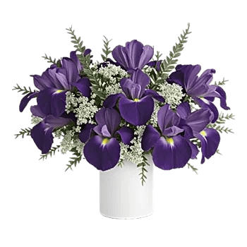 Ivory Blossom Radiance