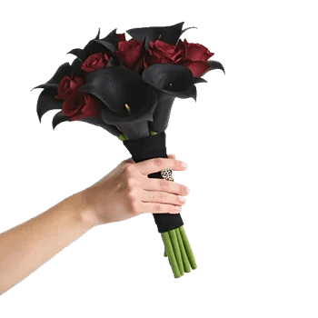 Gothic Dark Roses