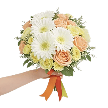 Ivory Blossom Radiance