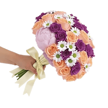 Peony Petal Harmony