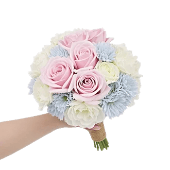 Pastel Pink Roses