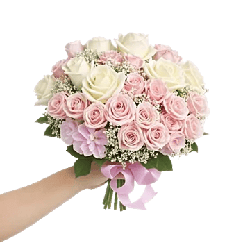 Pastel Pink Roses