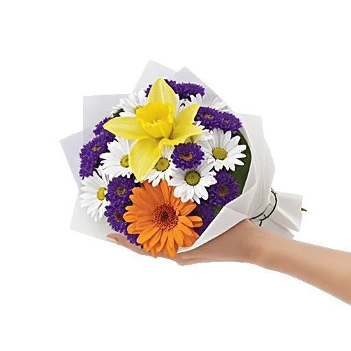 Blossom Harmony Display