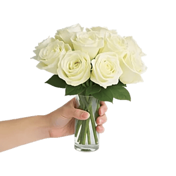 Ivory Blossom Radiance