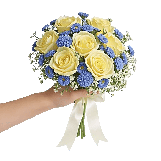 Blossom Harmony Display