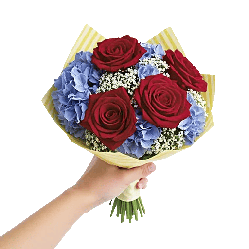 Serene Petal Harmony