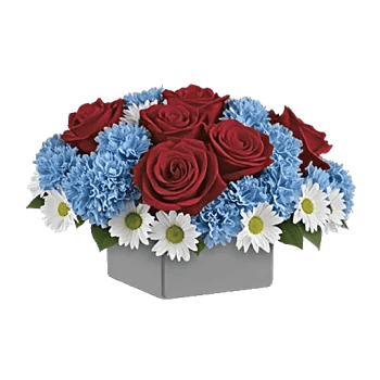 Crimson Rose Elegance