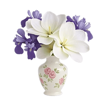 Ivory Blossom Radiance