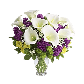 Elegant Calla Lilies