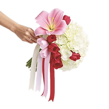 Delicate Petal Cascade