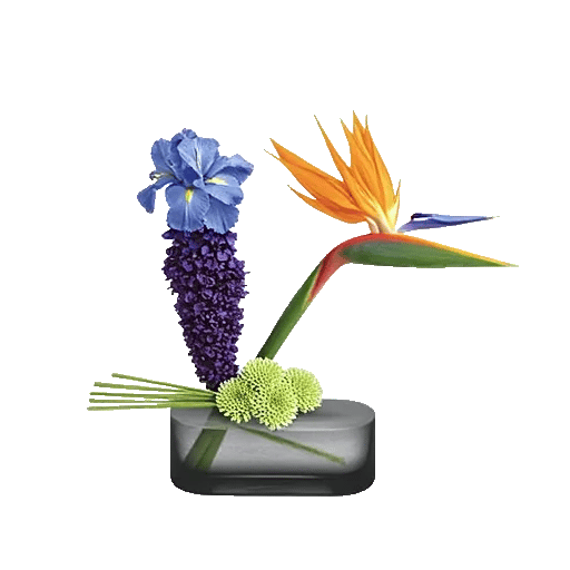 Minimalist White Orchids