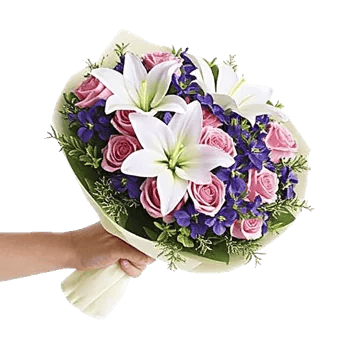 Blushing Rose Symphony