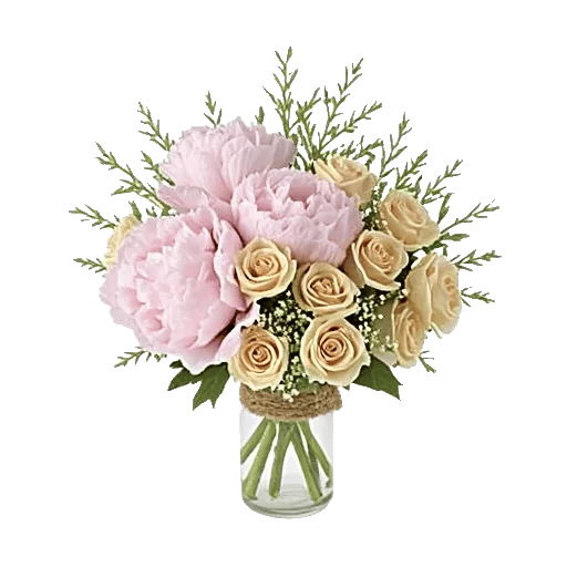 Petal Radiance Bliss