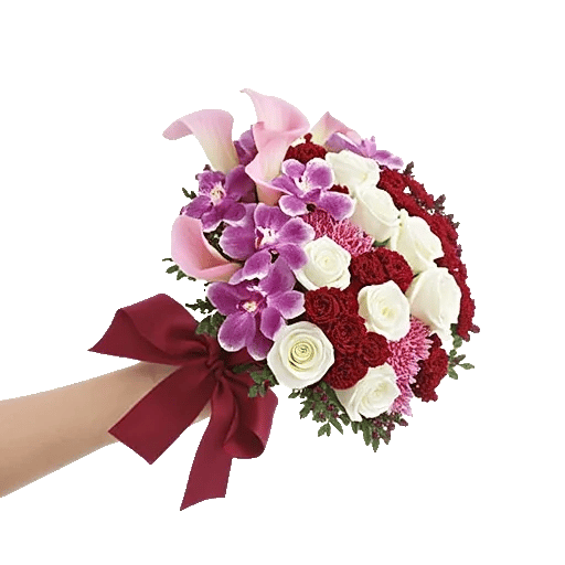 Elegant Calla Lilies