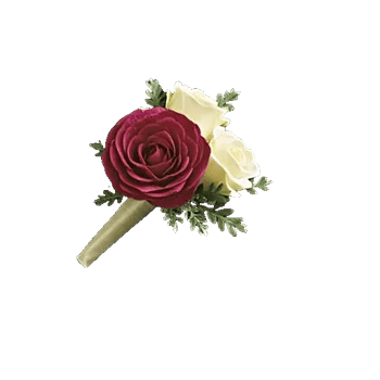 Delicate Petal Cascade