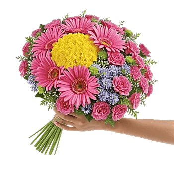Petal Harmony Bliss