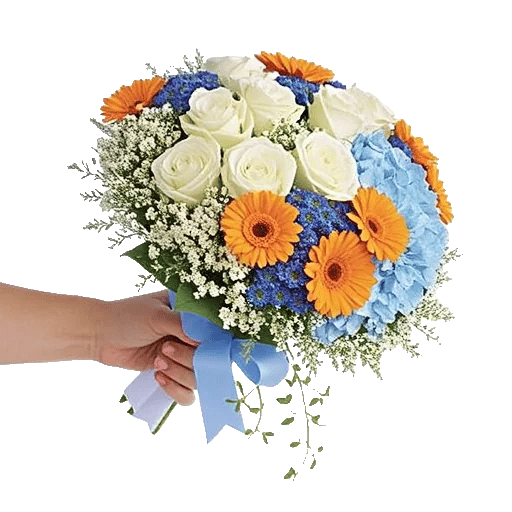 Serene Petal Harmony