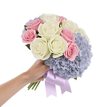 Blushing Rose Symphony